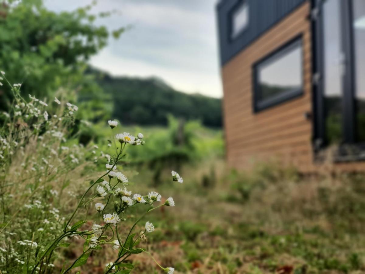 Pop Tiny House Balaton Leilighet Kaptalantoti Eksteriør bilde